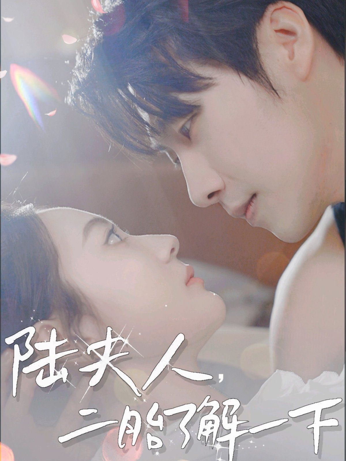 陸夫人，二胎了解一下(全集)
