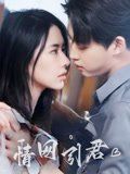 情網引君(全集)